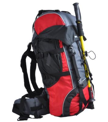 China camping & High Quality Outdoor Camping Equipment 40L Backpack Bag for sale