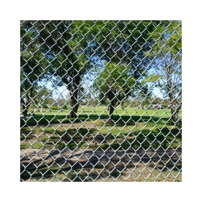 China Fence Mesh Wholesale Galvanized Chain Link Fence With Posts For Border Fencing Projects for sale