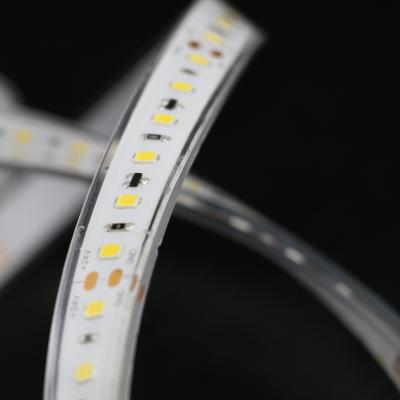 China Warm White UL Co Extrusion SMD2835 Strip LED Lights IP67 Indoor Lighting for sale