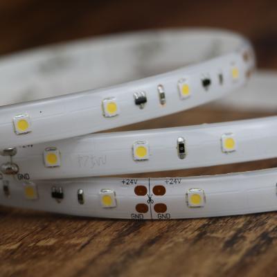 China Ribbon IP65 LED Strip Light 6500K Ra90 120led/M 2835 Waterproof for sale