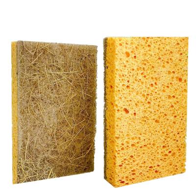 China Biodegradable Natural Kitchen Cleaing Kitchen Sponge Compostable Eco Friendly Cellulose Coconut Scrubber Sponge Sponges For Dishes for sale