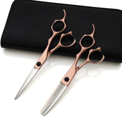 China Thinning Scissors 6.0 Inch New Design Fashion Beauty Barber Scissors Flat Tooth Hair Scissors for sale