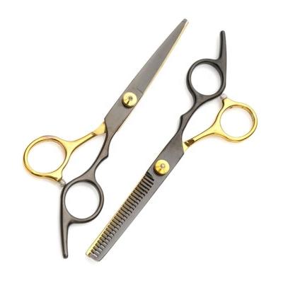 China Thinning Scissors New 6.0 Inch Fashion Design Beauty Barber Scissors Flat Scissors Tooth Hair Scissors for sale