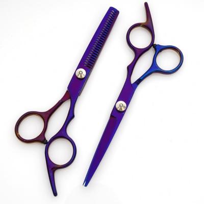 China Thinning Scissors 6.0 Inch black-blue New Fashion Design Beauty Barber Scissors Flat Scissors Tooth Hair Scissors for sale