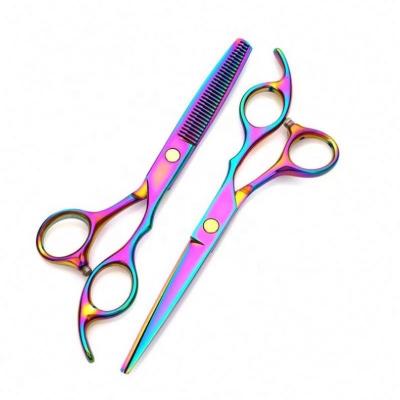 China Thinning Scissors 6.0 Inch 4 Tooth Scissors New Fashion Colors Design Beauty Professional Barber Scissors Flat Scissors for sale