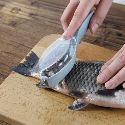 China Convenient Plastic Kitchen Instruments Sustainable Cleaning Fish Skin Scratch Measures Planing Fish Measure Remover For Good Daily Household Goods for sale