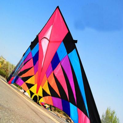 China Free shipping nylon 6 square meters big rainbow delta kite easy control so beautiful in the sky outdoor nylon ripstop fabric kite for sale