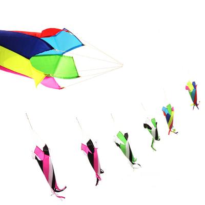 China Large free shipping nylon kite windsocks flying nylon kites for kids string line delta kite for sale