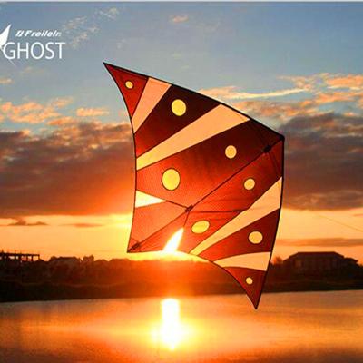 China Indoor Deep Sea Ghost Kite Nylon Free Shipping Flying With Handle Line Outdoor Toys Albatross Kite Factory Eagle Kites For Adults for sale