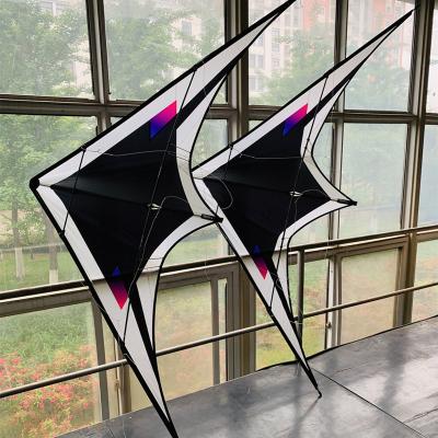 China Free Shipping Black Dual Line Nylon Professional Outdoor Paraglider Feather 240cm Wind Kites Stunt Kite Freilein Factory Koi Kite for sale