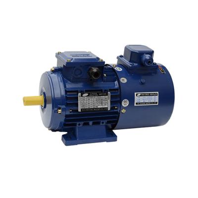 China Aluminum Housing Asynchronous Electric Motor Three-phase Asynchronous Geared Motor With Brake for sale