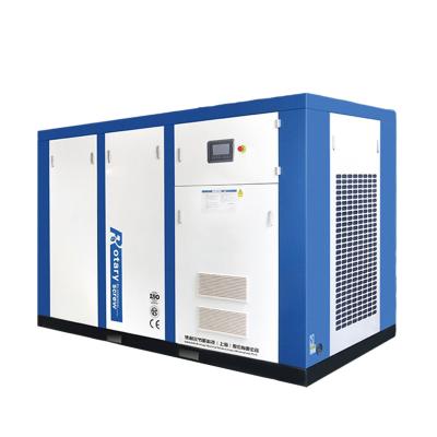 China DENAIR High-efficiency and Energy-saving Two-stage Compression Screw Air Compressor for sale