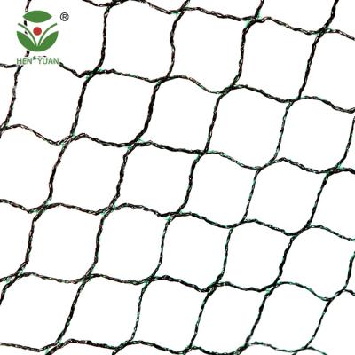 China Hen Yuan Factory Direct Selling Pe Bird Netting High Strength 100% Virgin Knotless HDPE Anti Customized GSM Manufacturing For Garden Cultivated Plants Use for sale