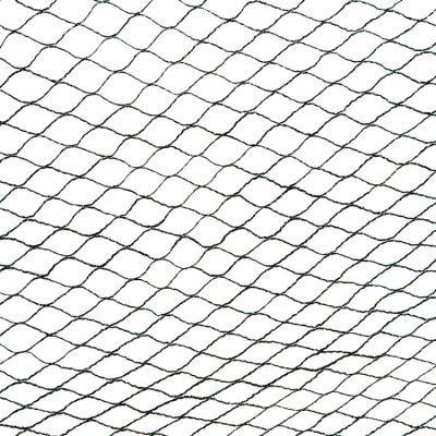 China Durable Customized Professional Good Price Anti Pe Bird Knotless Fishing Net for sale