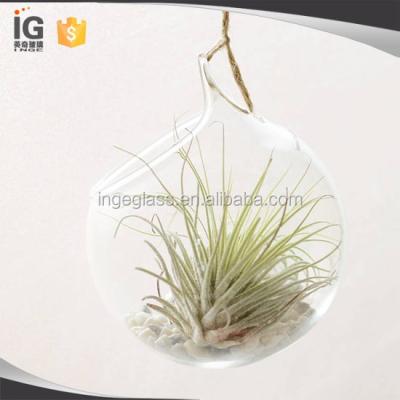 China Decoratons Home Hanging Glass Mini Greenhouse For Home Decor for sale