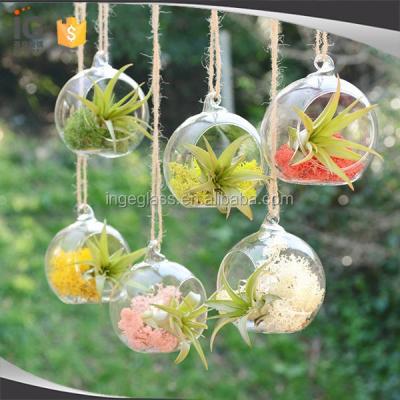 China Home Decor Vase Air Plant Hanging Glass Mini Greenhouse For Home Decor for sale