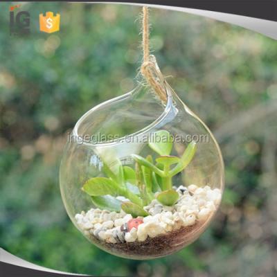 China Decoratons Home Hanging Glass Mini Greenhouse For Home Decor for sale