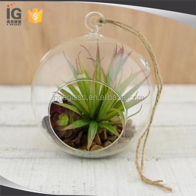 China Home Decor Round Mini Hanging Glass Greenhouse For Decoration for sale