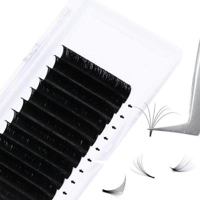 China Soft 16 Rows Private Label Natural Soft Volume Different Eyelash Extensions Easy To Pick Lashes Trays for sale