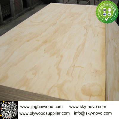 China Pine plywood for sale