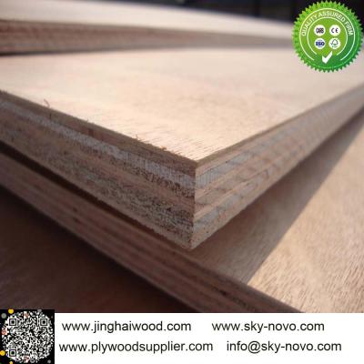 China Bintangor plywood for sale