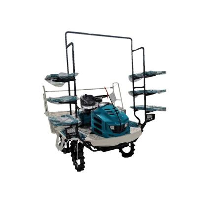 China Farms Mounting Transplanter Rice Planting Machine Seeders And Transplanters for sale