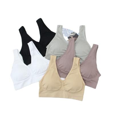 China Factory Price OEM Sports Quick DRY Quick Fitness Branded Sports Bra Wire Free Bra for sale