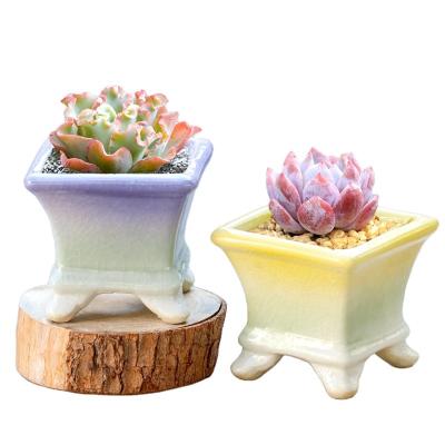 China Australia traditional spring summer flower pot indoor cheap ceramic pottery garden pottery succulent planter sale flow luster flower pot for sale