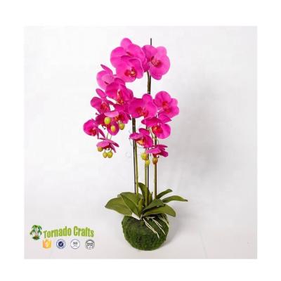 China High Quality Natural Touch Tornado Open PU Latex Flower ORCHID IN LARGE FOAM BALL for sale