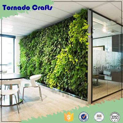 China Indor veOffice decoration office green house wall systemrtical systemrtical systemrtical green artificial green wall vertical garden for sale