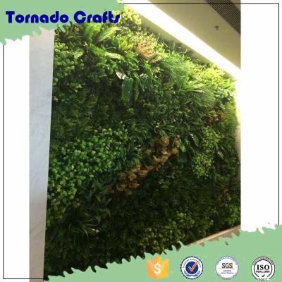 China 2017 Indor decoration alibaba artificial grass plant wall/plastic artificial plant hang wall for art hall decor for sale