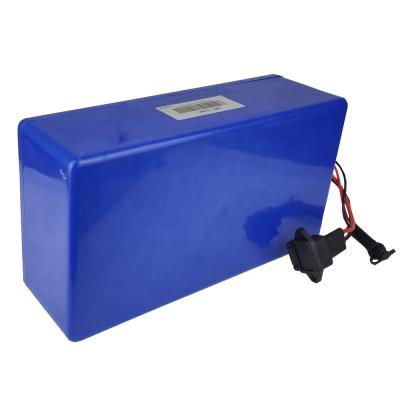 China Machine- 24 Volt Lifepo4 Lithium Ion Forklift Lithium Battery Pack For Lift Golf Cart for sale