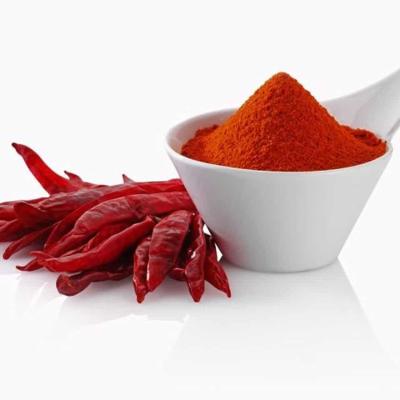 China High Quality Single Spices and Herbs Dry Red Paprika Chilli Powder for sale