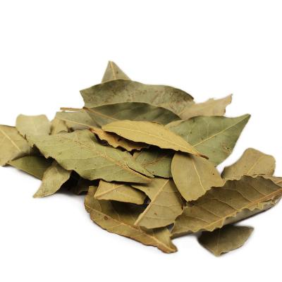 China High quality dry spices and herbs factory supply pure natural material dry bay leaf for sale