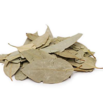 China Chinese Factory Pure Natural Material Wholesale Price Dried Herbs Spice Dry Berry Leaves for sale