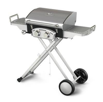 China Easily Assembled Outdoor 2 Burner BBQ Gas Grill With Folding Cart Cast Iron Grates for sale