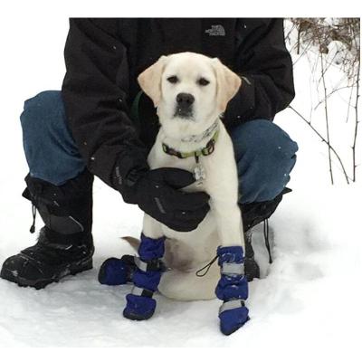 China Sustainable High Quality 4Pcs/Set Dog Winter Warm Rain Waterproof  Long Boots Protective Pet Sports Snow Shoes for sale