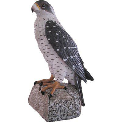 China Europe Resin Hawk Design Statue Animal Wholesale for sale