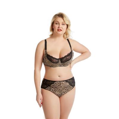 China Breathable leopard plus size women bra and panties sets large size sexy lingerie lace lift up bra female flat women Bralette thin cup suit for sale