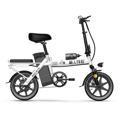 China Manufacturer 350w 2 Seat Electric Bike Scooter 20ah Battery Unisex Professional Electric Bicycle for sale