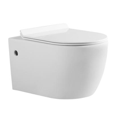 China New Design Concealed Wall Mounted WC Toilet Tank Lid With Slow Down Seat Ring for sale