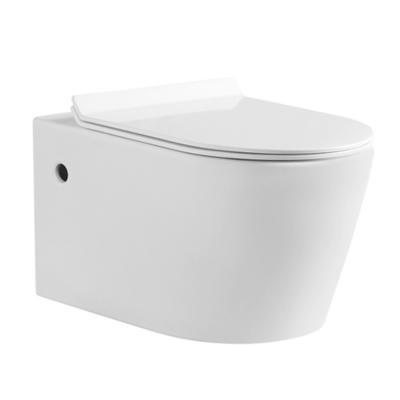 China Concealed plastic soft close tank bathroom sanitary ware UF wall hung closestool ceramic seat cover for sale