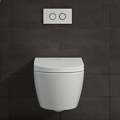 China Hidden Ceramic Tank P-trap Washdown Flushing Smart WC Wall Hung Smart Toilet WC With Hidden Water Tank for sale