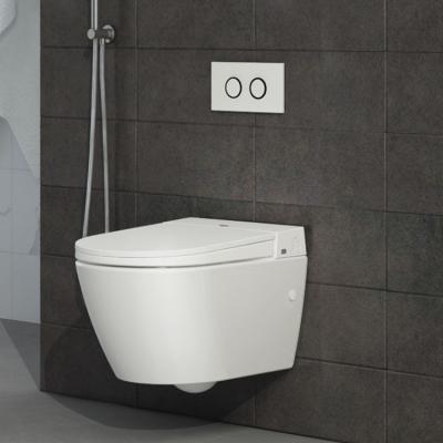 China Hidden Cistern Wall Hung Smart Toilet Sanitary Ceramic WC With Hidden Water Tank for sale