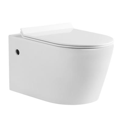 China New Style Hidden WC Wall Hanging Bidet Tank European White Plastic Toilet Seat Cover for sale