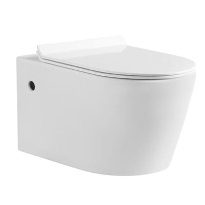 China Unique Design WC Wall Hanging Hidden Ceramic Toilet Seat Cover Tank In High Quality for sale