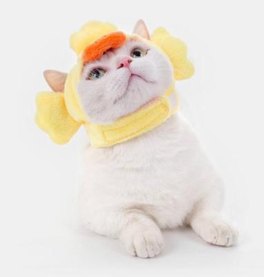 China Lovely Sustainable Pet Cat Hat , Animal Design Hat Dog Dress Accessories Pet Supplies for sale