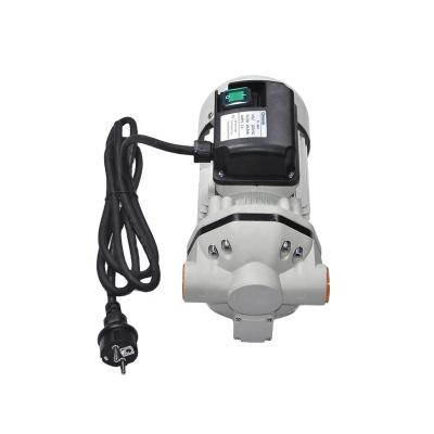 China GAS STATION AC 110V 220V 12V 24V DC Adblue Diaphragm Pump For IBC Tank Urea Transfer for sale