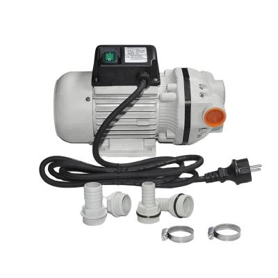 China Gas Station Manufacture Professional DC AC Adblue Pump Diaphragm Pump Chemical Pump for sale