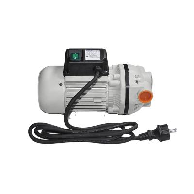 China Gas Station 220V AC 50LPM Self Priming 5 Chamber Urea Acid Transfer Electric High Rate Diaphragm Adblue Pump for sale